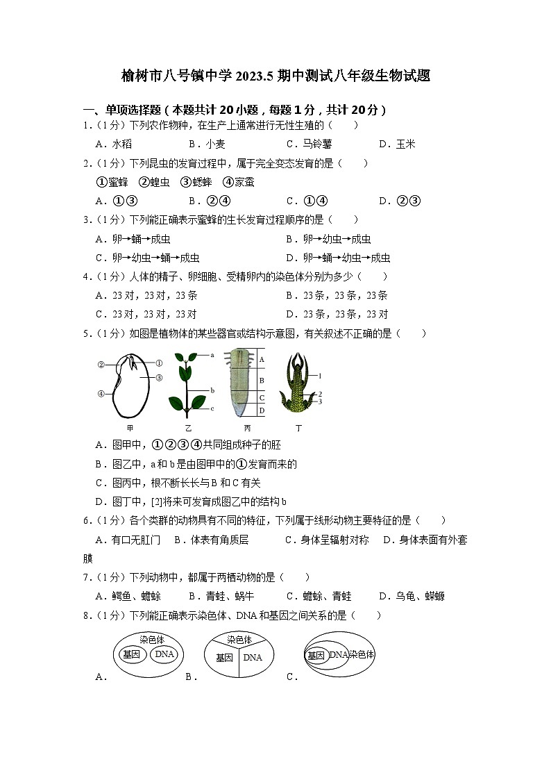 吉林省长春市榆树市八号镇中学校2022-2023学年八年级下学期期中生物试题第1页