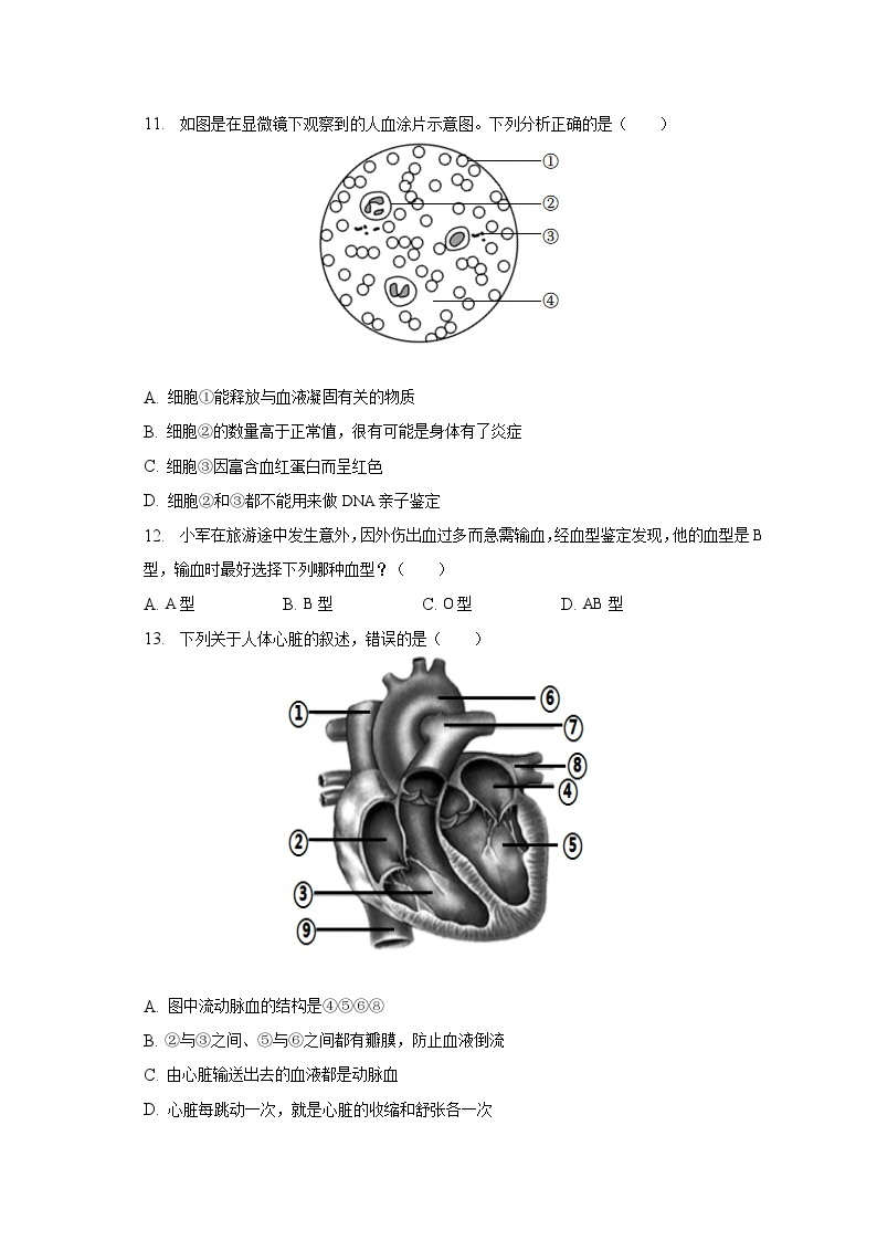 2022-2023学年山东省枣庄市薛城区七年级（下）期中生物试卷（含解析）03