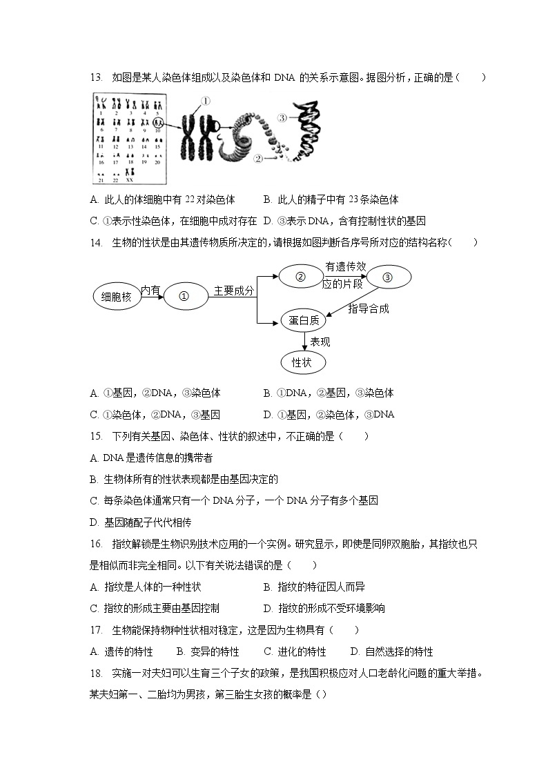 2022-2023学年广东省广州市黄埔区八年级（下）期中生物试卷（含解析）03