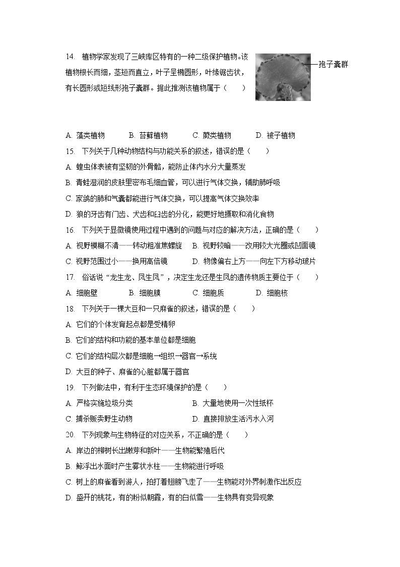 2022-2023学年广东省惠州市小金茂峰学校八年级（下）期中生物试卷（含解析）03