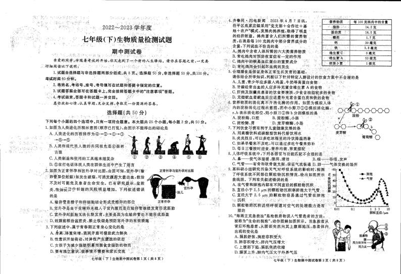 山东省聊城市北大培文学校2022-2023学年七年级下学期期中测试生物试卷01