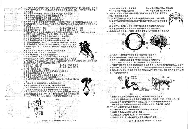 山东省聊城市北大培文学校2022-2023学年七年级下学期期中测试生物试卷02