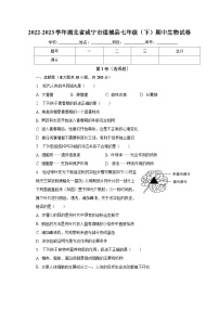 湖北省咸宁市通城县2022-2023学年七年级下学期期中生物试卷（含答案）