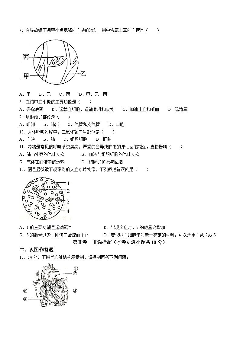 辽宁省铁岭市西丰县2022-2023学年七年级下学期期中生物试题(含答案)第2页