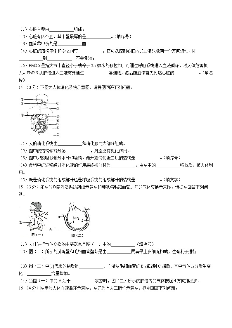 辽宁省铁岭市西丰县2022-2023学年七年级下学期期中生物试题(含答案)第3页