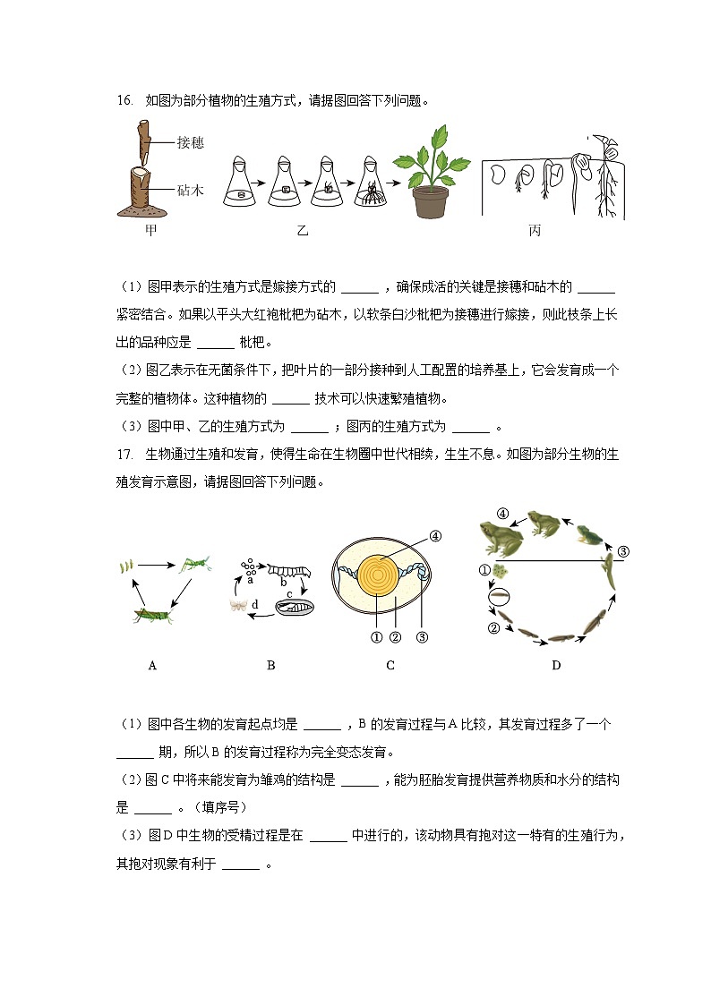 广西南宁市宾阳县2022-2023学年八年级下学期期中生物试卷(含答案)第3页