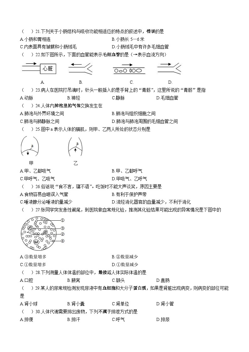 江蘇省鹽城市康居路教育集團(tuán)2022-2023學(xué)年七年下學(xué)期期中生物試題（含答案）第3頁(yè)