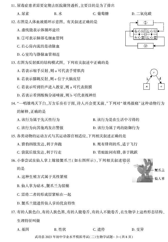 2023年陕西省咸阳市武功县初中学业水平考试模拟(二)生物试题03