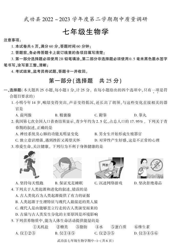 陕西省咸阳市武功县2022-2023学年七年级下学期期中质量调研生物试题01