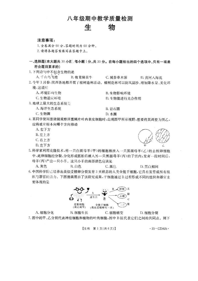 陕西省西安市2022-2023学年八年级下学期期中联考生物试题01