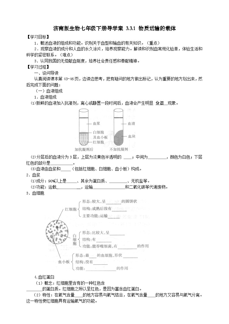 济南版生物七年级下册导学案 3.3.1 物质运输的载体01