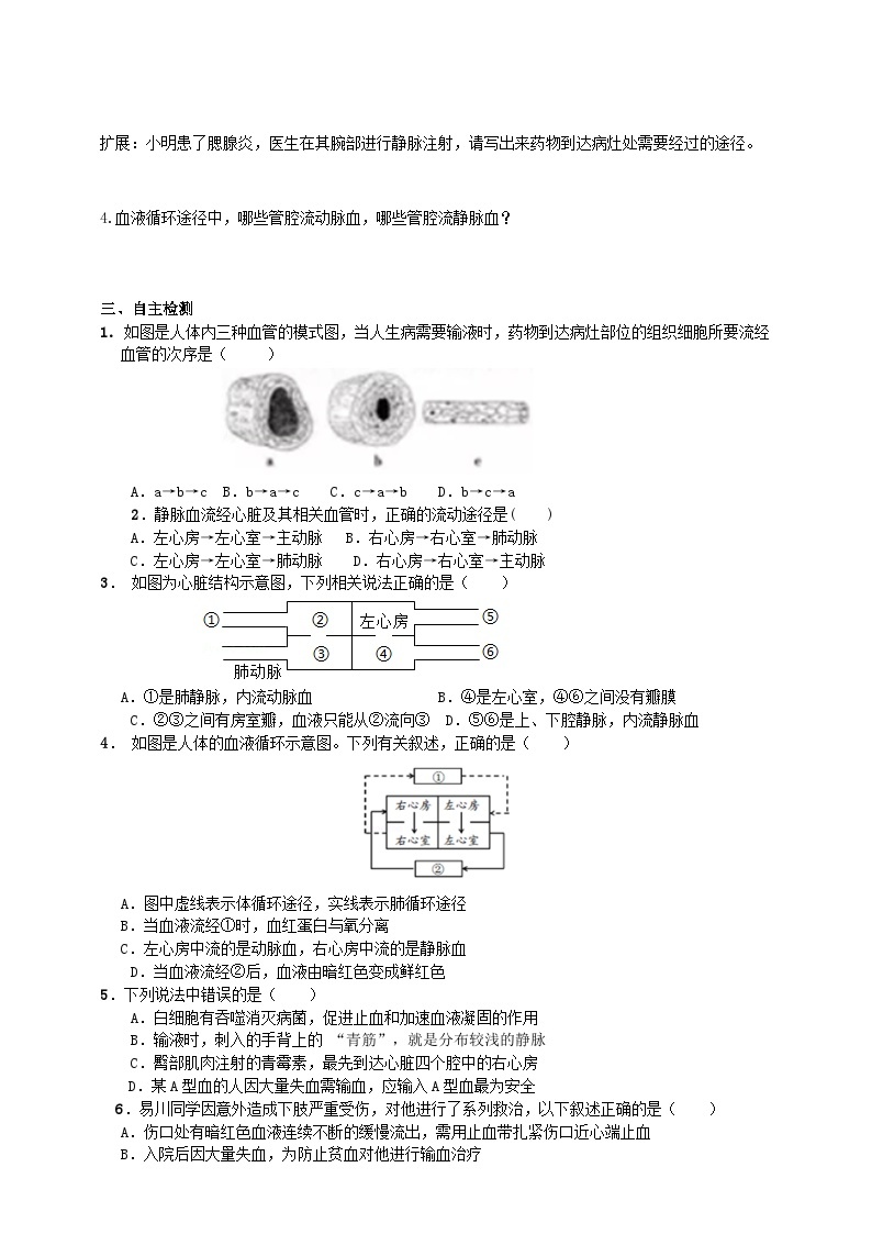 济南版生物七年级下册导学案 3.3.3 物质运输的途径02