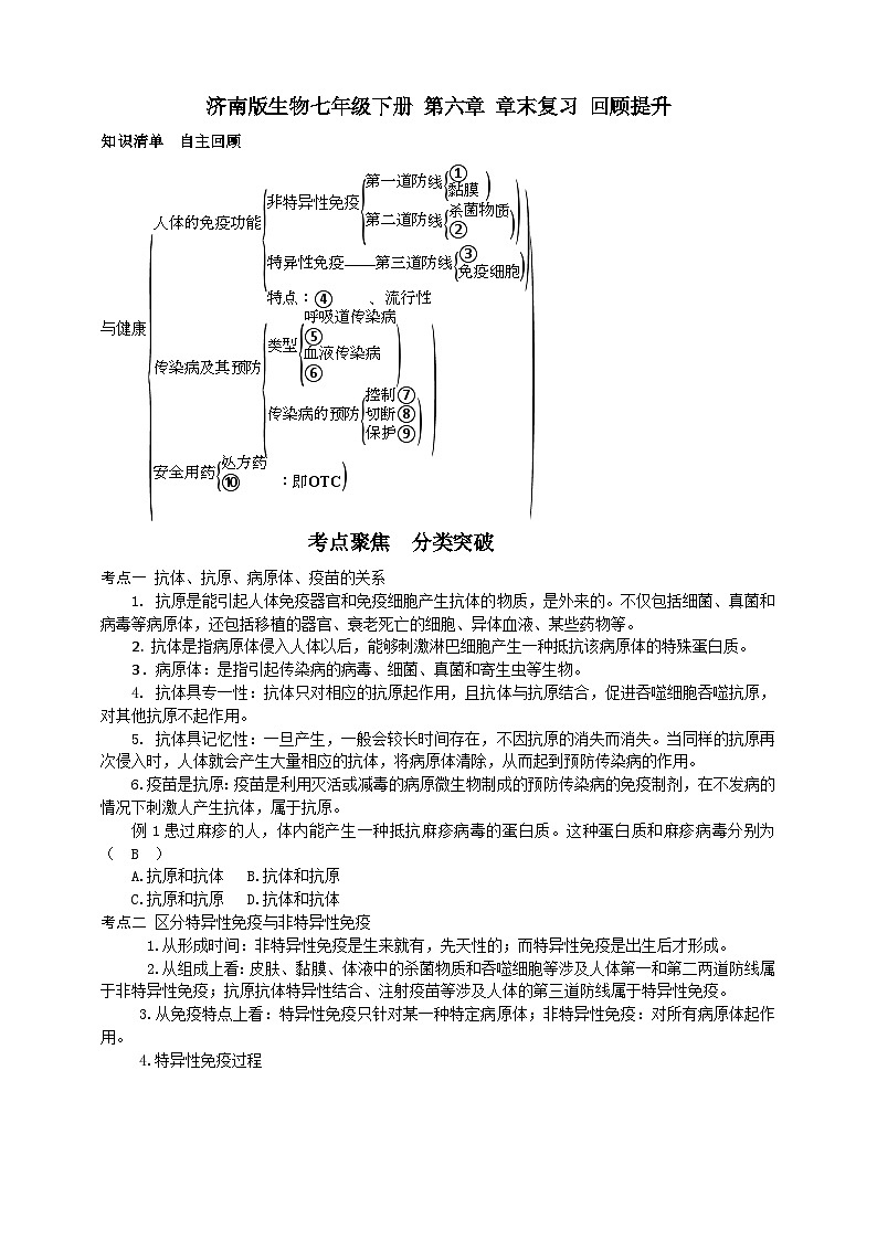 濟(jì)南版生物七年級下冊 第六章 章末復(fù)習(xí) 回顧提升第1頁