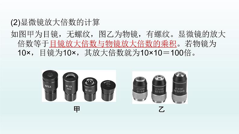 初中生物中考复习 第3课 显微镜的使用 2021届中考复习生物课件第7页