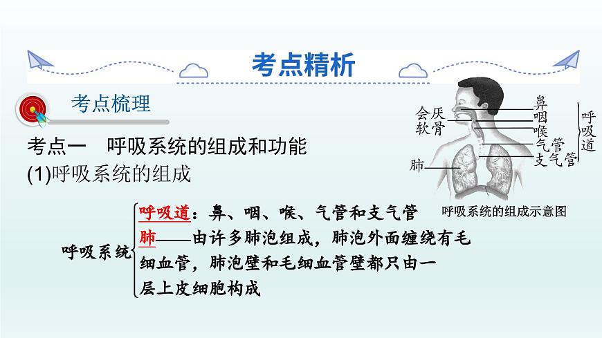 初中生物中考復習 第11課 人體的呼吸 2021屆中考復習生物課件第2頁
