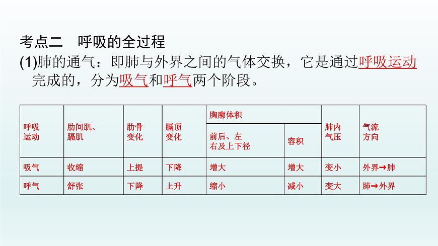 初中生物中考復習 第11課 人體的呼吸 2021屆中考復習生物課件第7頁