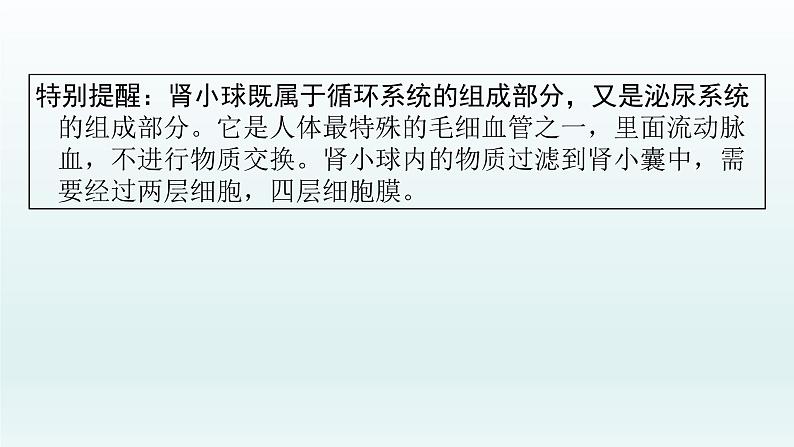 初中生物中考复习 第13课 人体内废物的排出 2021届中考复习生物课件第6页
