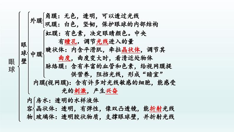 初中生物中考复习 第14课人体生命活动的调节、 人类活动对生物圈的影响 2021届中考复习生物课件第3页