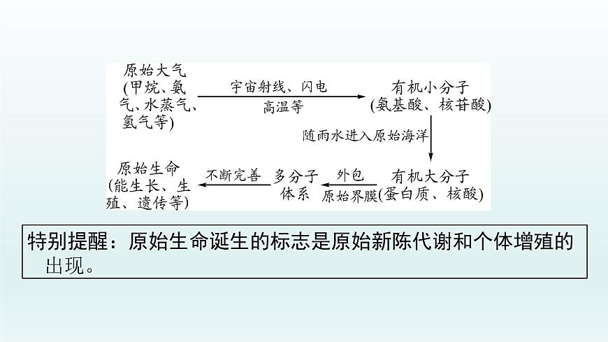 初中生物中考復(fù)習(xí) 第21課 2021屆中考復(fù)習(xí)生物課件第3頁