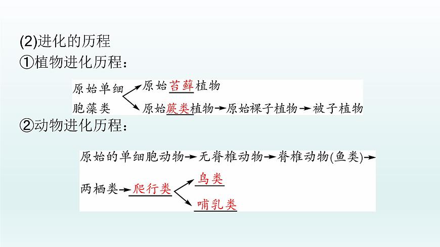 初中生物中考復(fù)習(xí) 第21課 2021屆中考復(fù)習(xí)生物課件第5頁