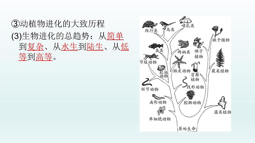 初中生物中考復(fù)習(xí) 第21課 2021屆中考復(fù)習(xí)生物課件第6頁