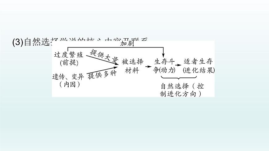 初中生物中考復(fù)習(xí) 第21課 2021屆中考復(fù)習(xí)生物課件第8頁