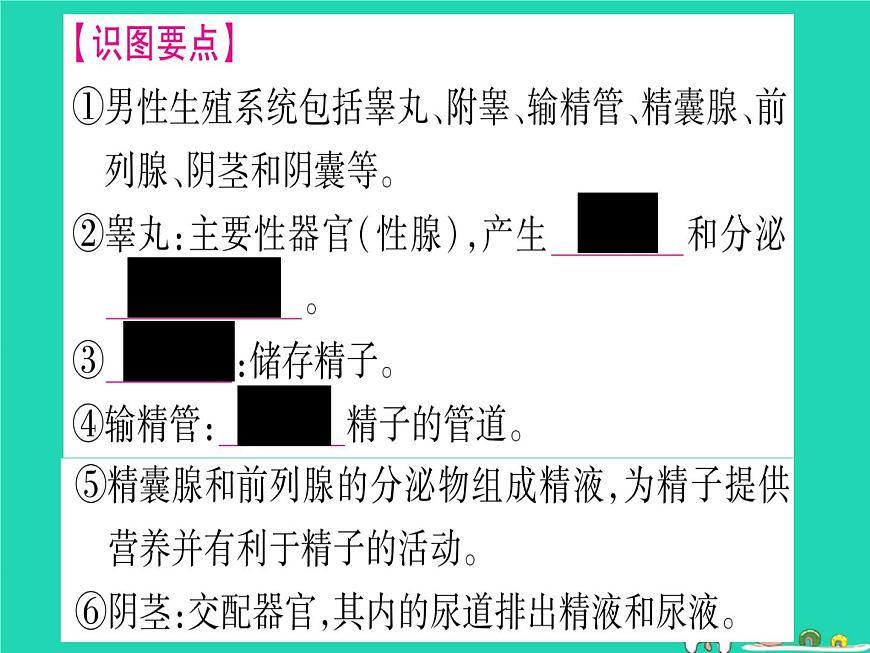 初中生物中考復(fù)習(xí) 中考生物總復(fù)習(xí)八上第6單元第19章生物的生殖和發(fā)育課件第4頁(yè)