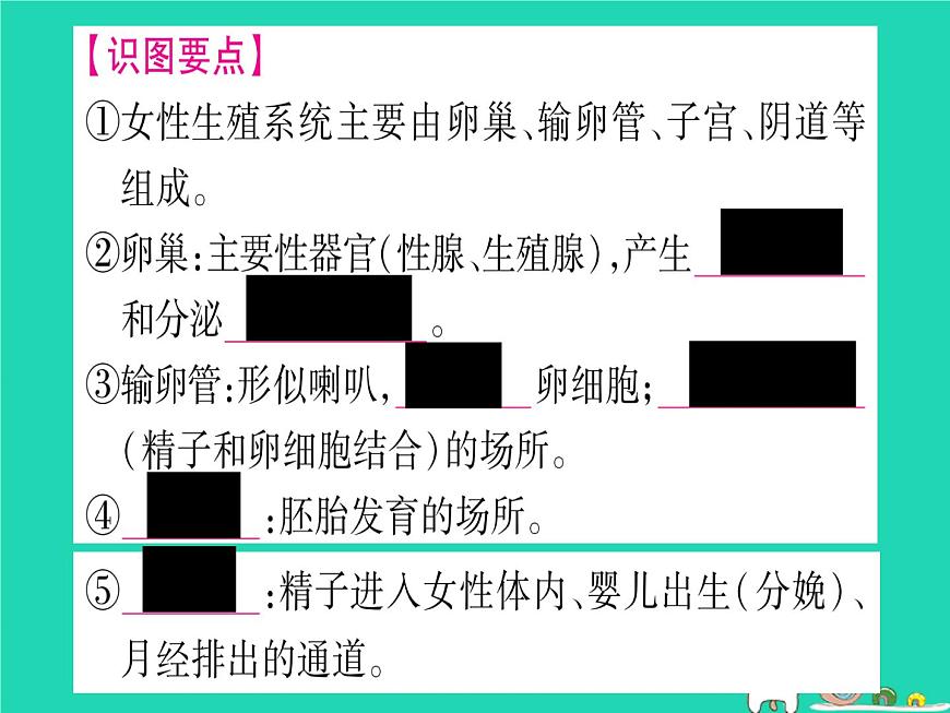 初中生物中考復(fù)習(xí) 中考生物總復(fù)習(xí)八上第6單元第19章生物的生殖和發(fā)育課件第6頁(yè)