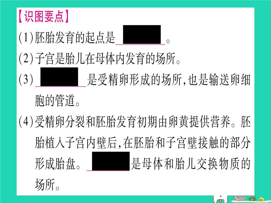 初中生物中考復(fù)習(xí) 中考生物總復(fù)習(xí)八上第6單元第19章生物的生殖和發(fā)育課件第8頁(yè)