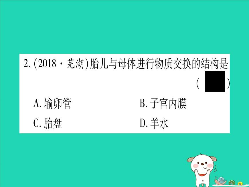 初中生物中考復(fù)習(xí) 中考生物總復(fù)習(xí)八上第6單元第19章生物的生殖和發(fā)育習(xí)題課件第3頁(yè)