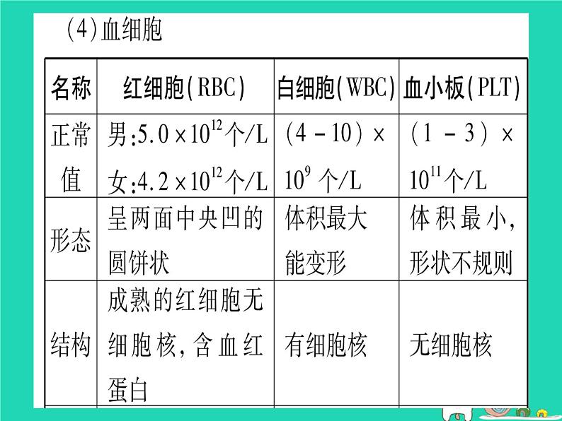 初中生物中考复习 中考生物总复习七下第4单元第9章人体内的物质运输课件第4页