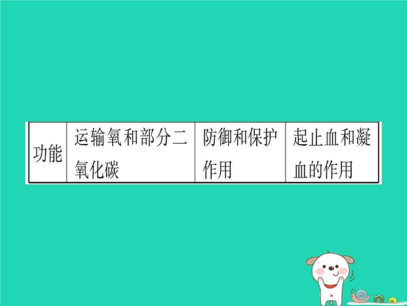 初中生物中考复习 中考生物总复习七下第4单元第9章人体内的物质运输课件第5页