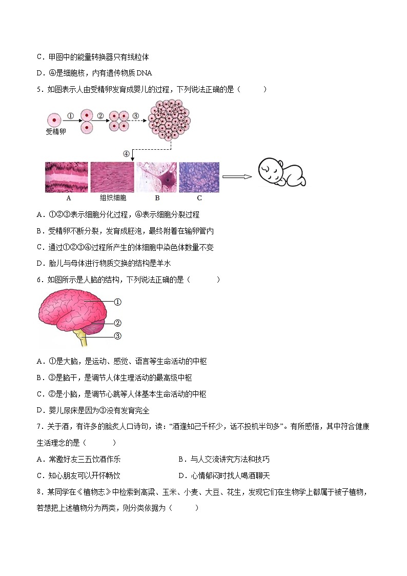生物(甘肃卷)(考试版)第2页
