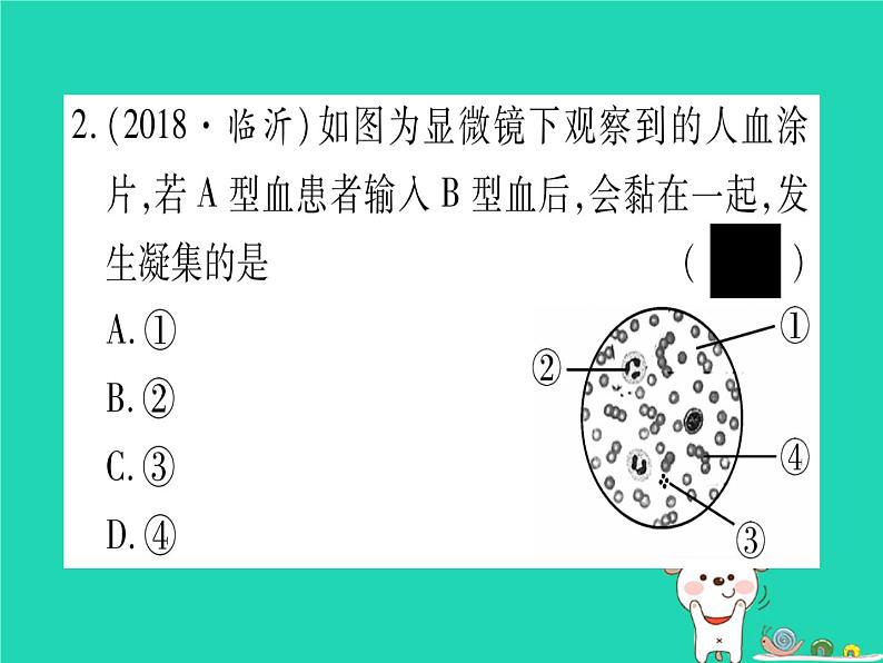 初中生物中考复习 中考生物总复习七下第4单元第9章人体内的物质运输习题课件第3页