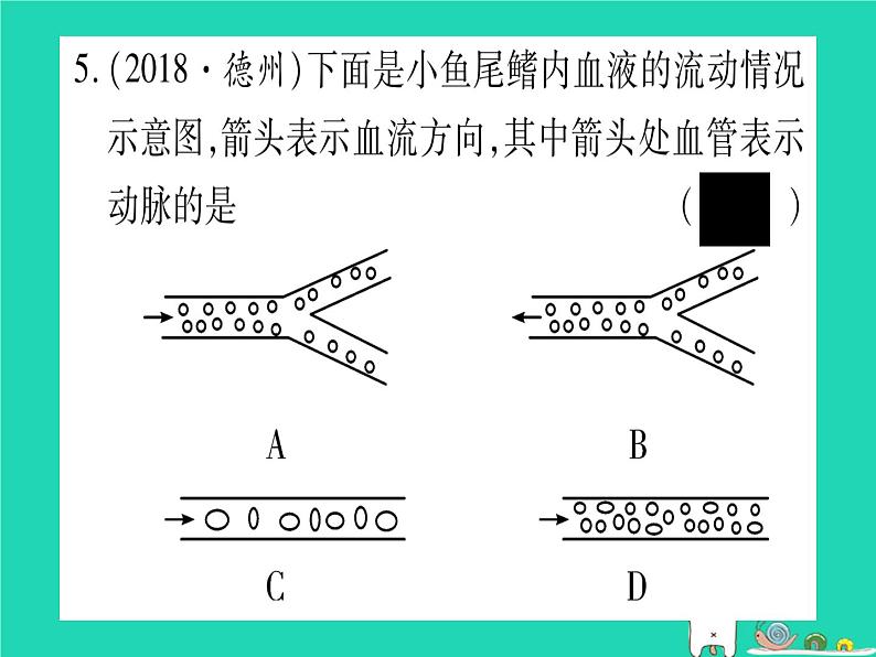 初中生物中考复习 中考生物总复习七下第4单元第9章人体内的物质运输习题课件第6页