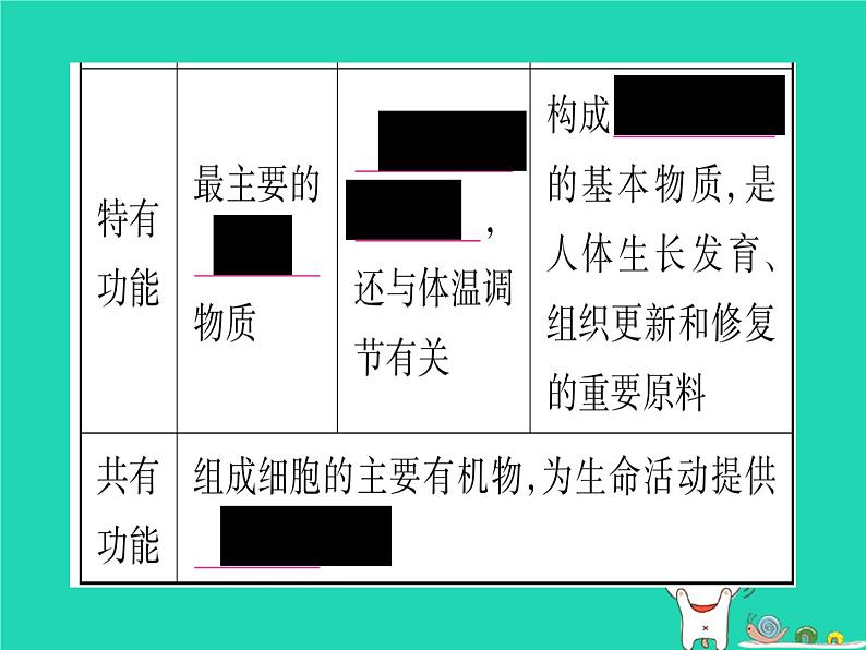初中生物中考复习 中考生物总复习七下第4单元第8章人体的营养课件第5页