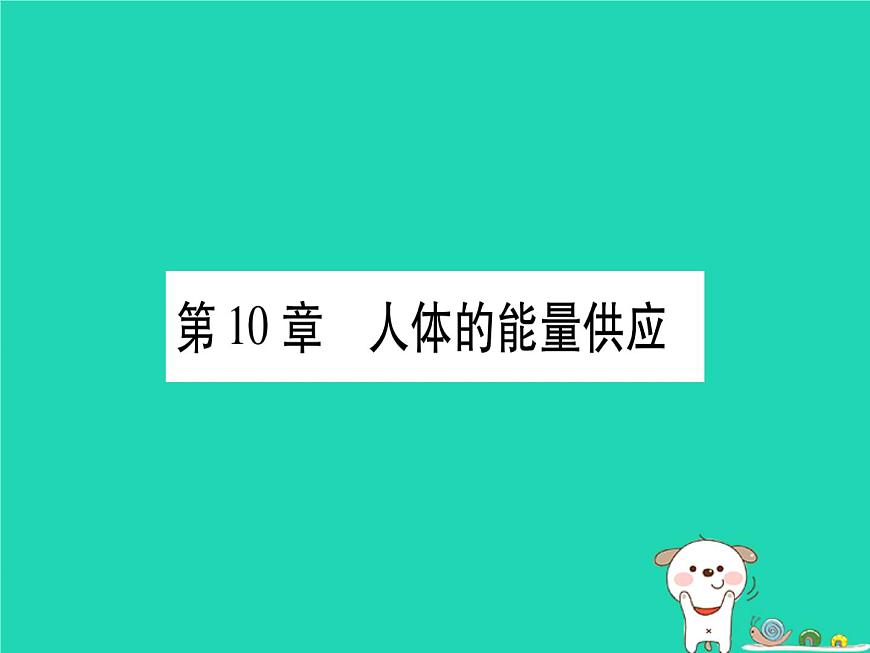 初中生物中考復(fù)習(xí) 中考生物總復(fù)習(xí)七下第4單元第10章人體的能量供應(yīng)習(xí)題課件第1頁(yè)