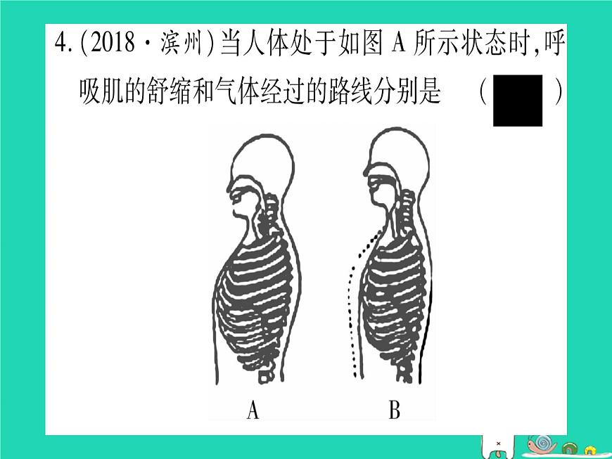 初中生物中考復(fù)習(xí) 中考生物總復(fù)習(xí)七下第4單元第10章人體的能量供應(yīng)習(xí)題課件第5頁(yè)
