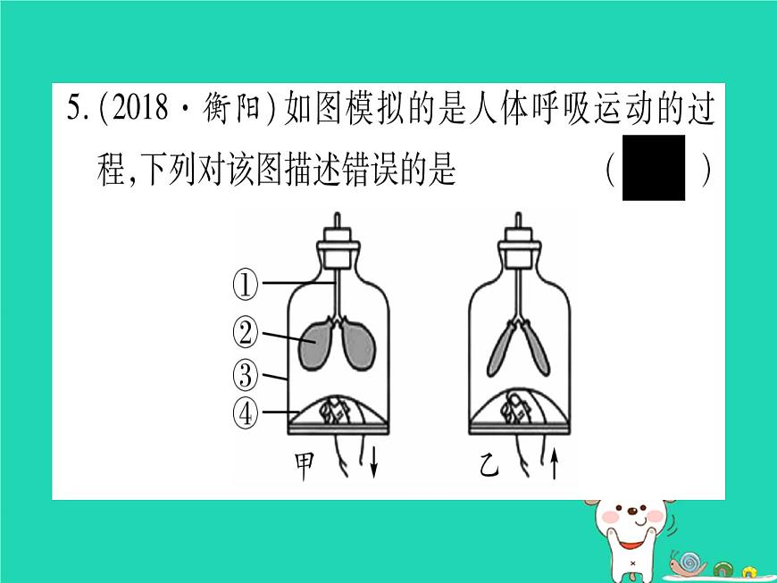 初中生物中考復(fù)習(xí) 中考生物總復(fù)習(xí)七下第4單元第10章人體的能量供應(yīng)習(xí)題課件第7頁(yè)