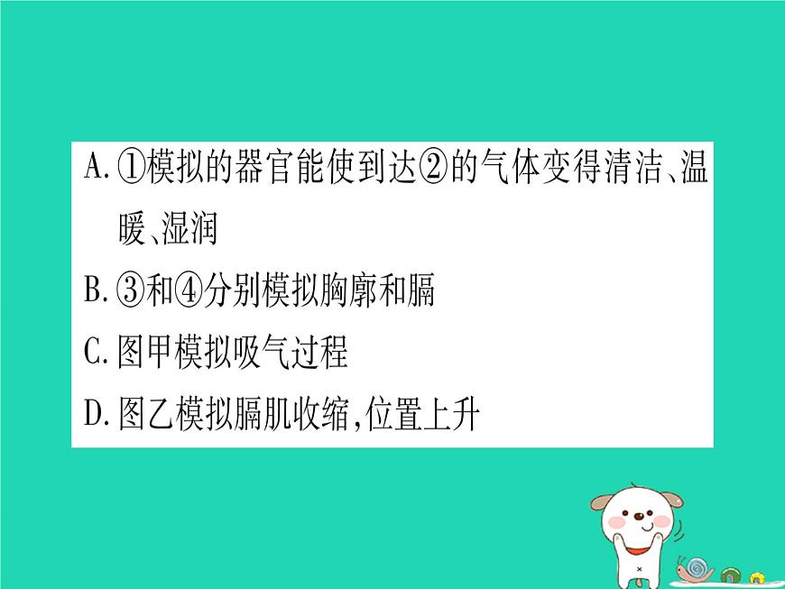 初中生物中考復(fù)習(xí) 中考生物總復(fù)習(xí)七下第4單元第10章人體的能量供應(yīng)習(xí)題課件第8頁(yè)