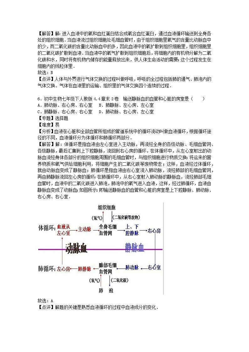 生物人教七下第四章2卷第3页
