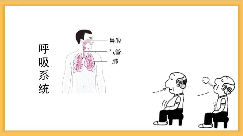 8.3 人体概述-七年级生物下册同步精品课堂(苏教版) 课件PPT第6页