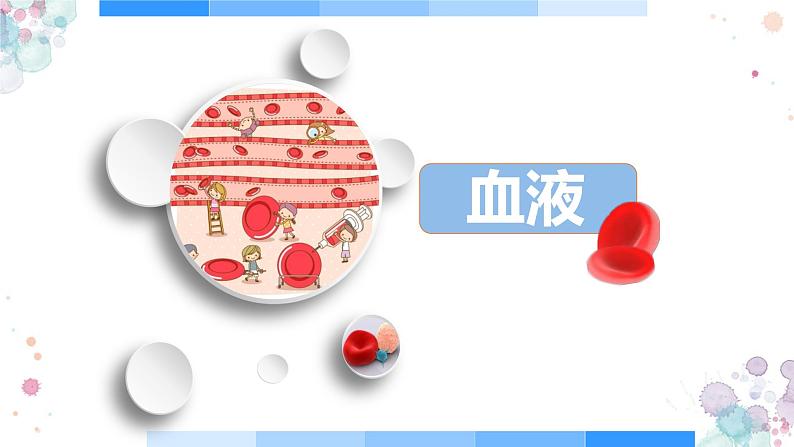 10.1 血液与血型(第一课时)-七年级生物下册同步精品课堂(苏教版)课件PPT第4页