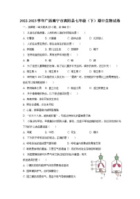 2022-2023学年广西南宁市宾阳县七年级（下）期中生物试卷（含解析）
