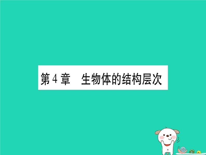 初中生物中考复习 中考生物总复习七上第2单元第4章生物体的结构层次习题课件第1页