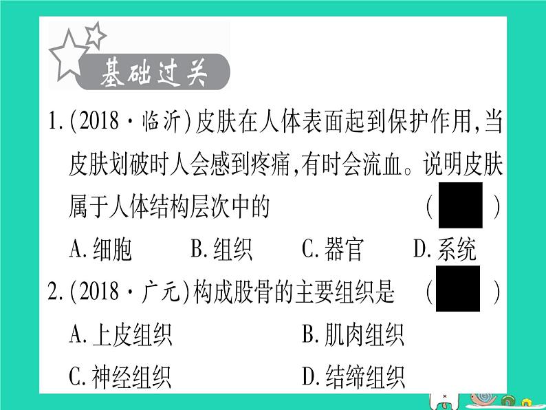初中生物中考复习 中考生物总复习七上第2单元第4章生物体的结构层次习题课件第2页