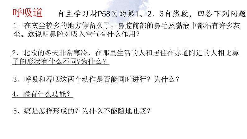 10.3 人体与外界的气体交换-七年级生物下册同步(苏教版)课件PPT第8页