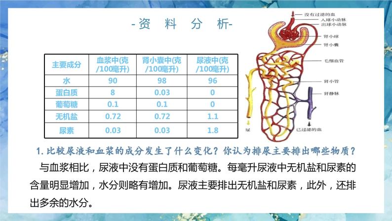 人教版（新版）七年级下册生物《人体内废物的排出》（第二课时）PPT课件+教案+练习05