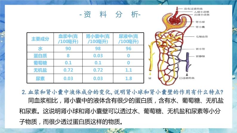 人教版（新版）七年级下册生物《人体内废物的排出》（第二课时）PPT课件+教案+练习06