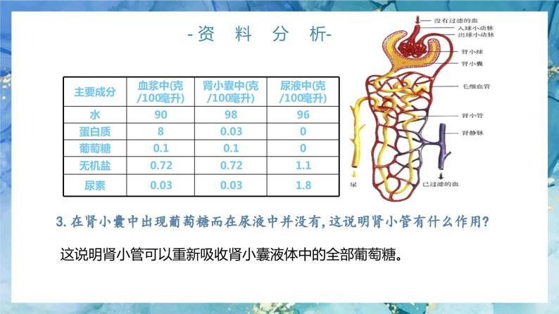 人教版（新版）七年级下册生物《人体内废物的排出》（第二课时）PPT课件+教案+练习07